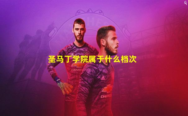 圣马丁学院属于什么档次