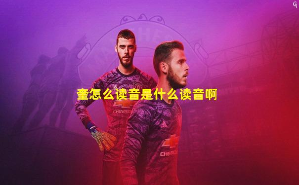 奎怎么读音是什么读音啊